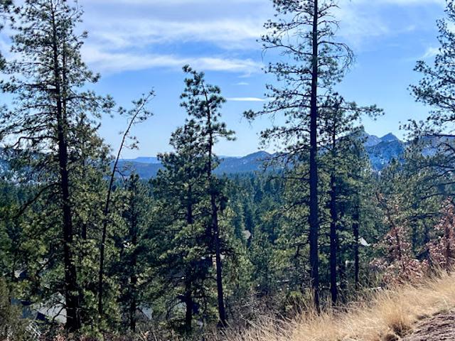 Land for sale in La Plata, Colorado