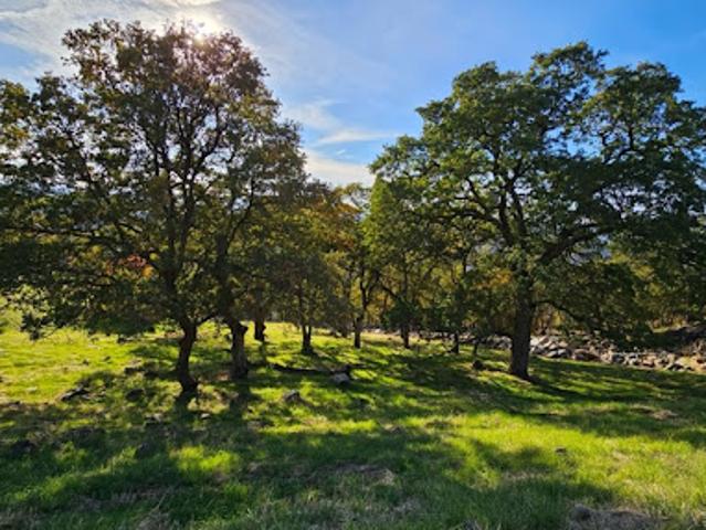 Land for sale in California