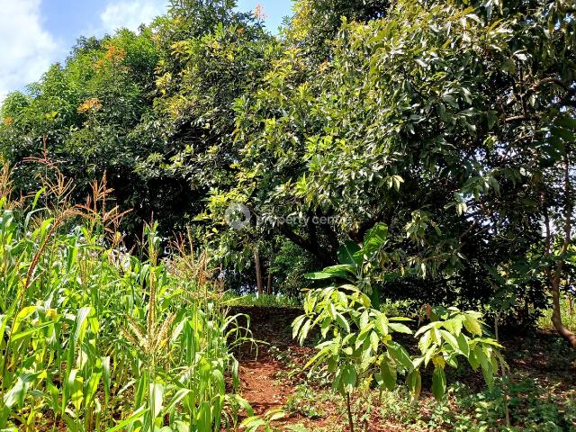 Land for sale in Maragwa, Murang'a
