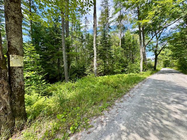 Land for sale in Newbury, Vermont