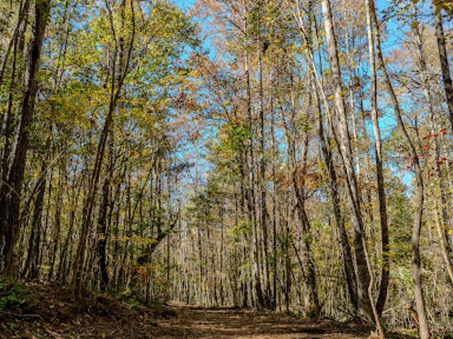 Land for sale in Palmetto, Georgia