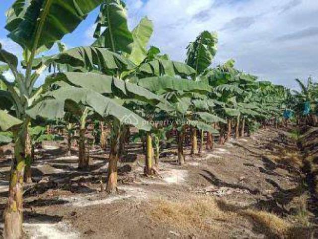 Commercial for sale in Abeokuta South, Ogun