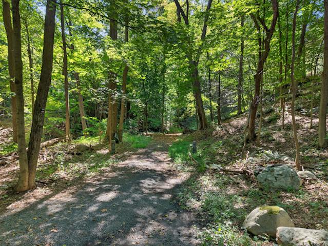 Land for sale in New York