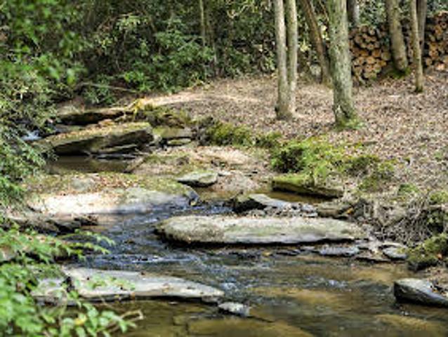 Land for sale in Mineral Bluff