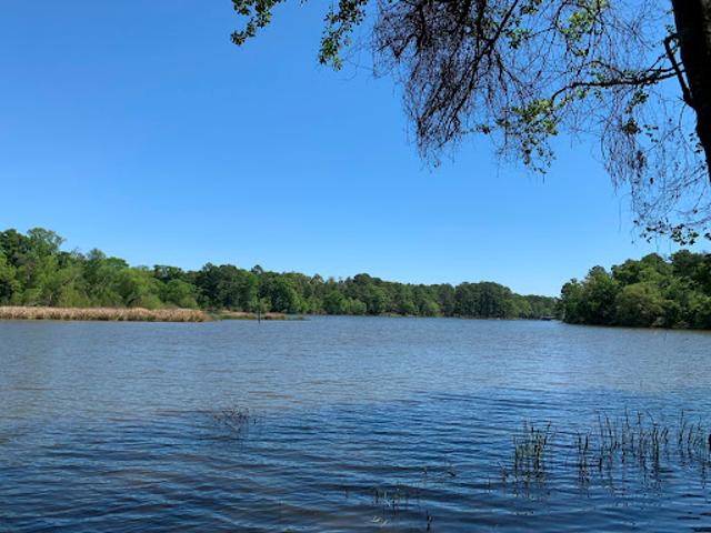 Land for sale in Henderson, Texas