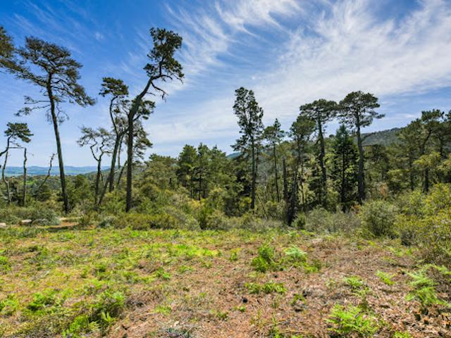 Land for sale in California