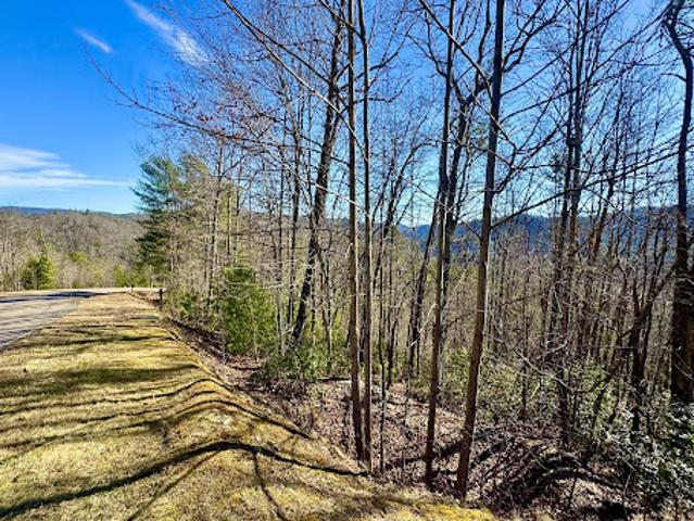 Land for sale in Ferguson, Wilkes County