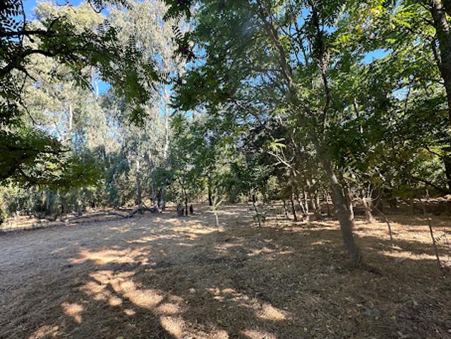 Land for sale in Sonoma, California