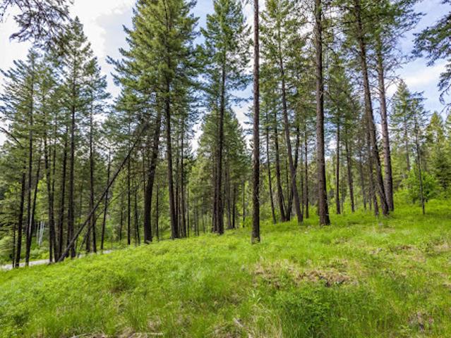 Land for sale in Bigfork, Montana