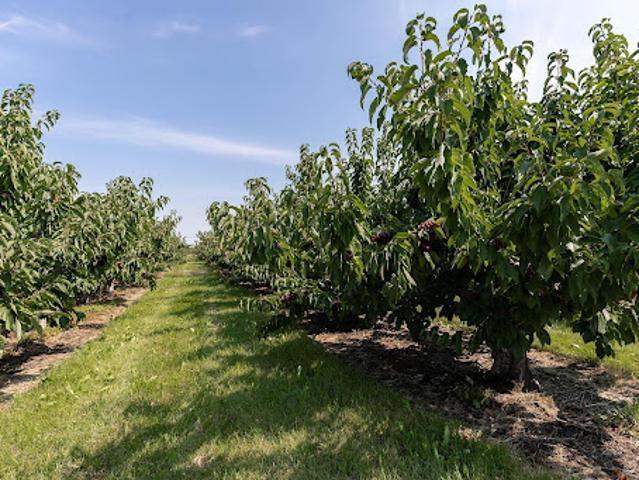 Land for sale in Winfield, British Columbia