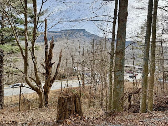 Land for sale in Avery, North Carolina