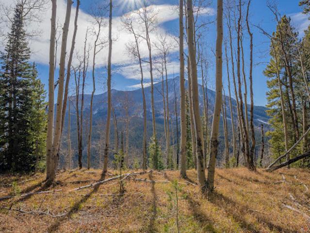 Land for sale in Gunnison, Colorado