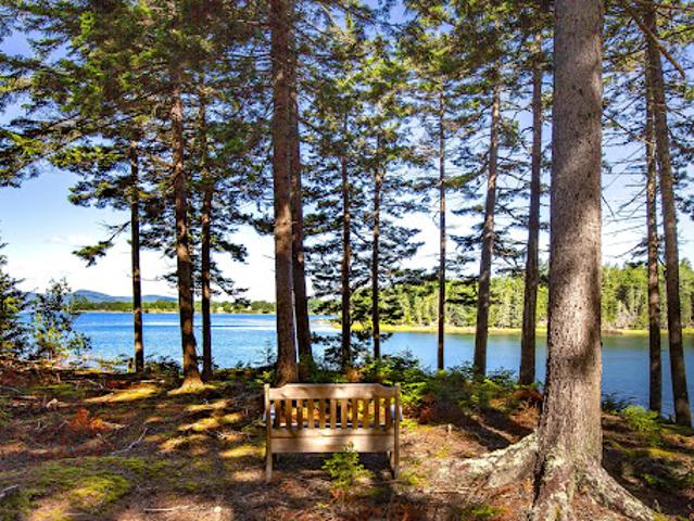 Land for sale in Waldo, Maine