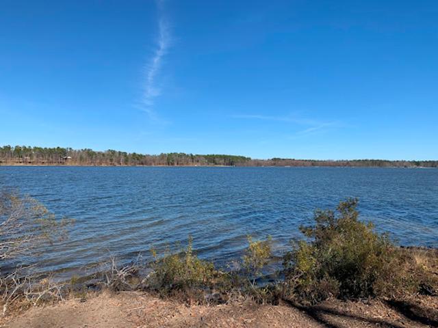 Land for sale in Henderson, Texas