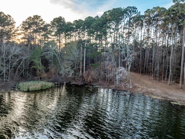 Land for sale in Frankston, Texas