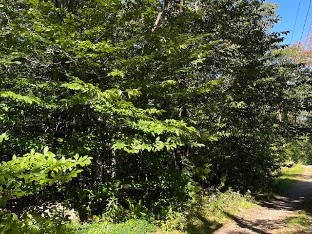 Land for sale in Monterey