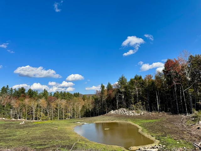 Land for sale in Weston, Vermont