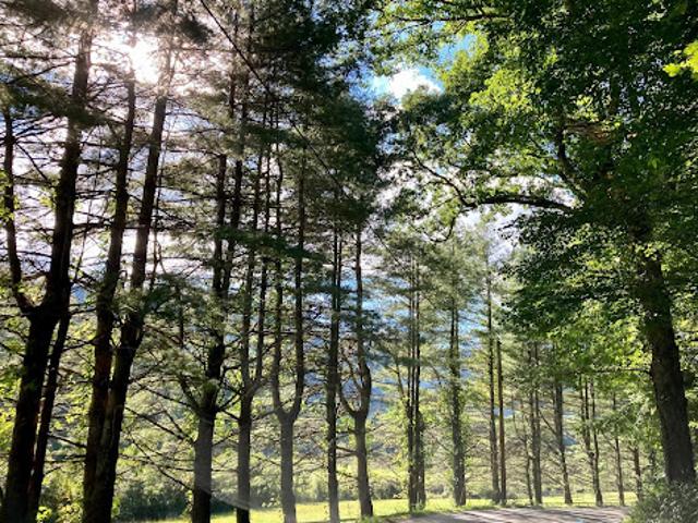 Land for sale in Highlands, North Carolina