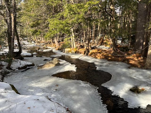 Land for sale in New Hampshire