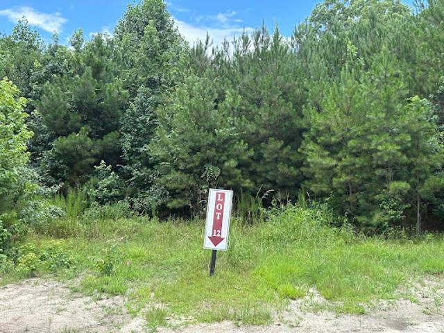 Land for sale in Georgia