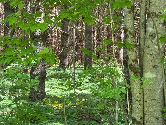 Land for sale in Hope, Maine