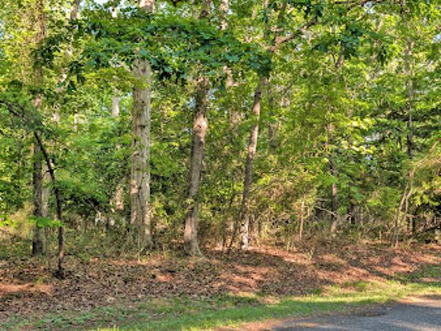 Land for sale in Virginia