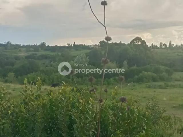 Land for sale in Nanyuki, Laikipia