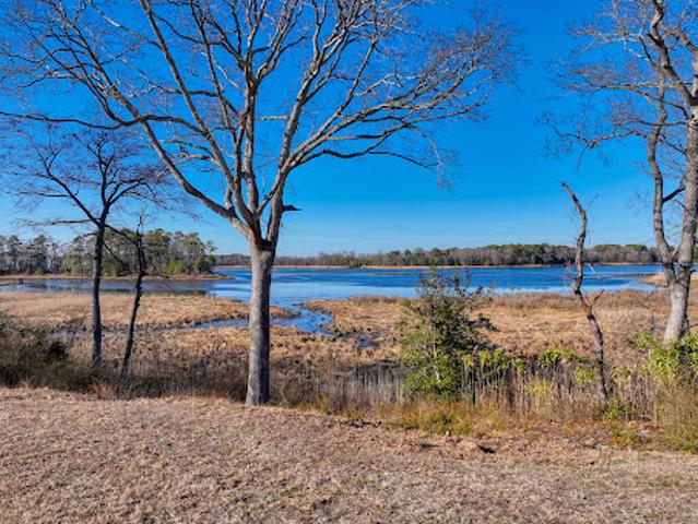 Land for sale in Millsboro