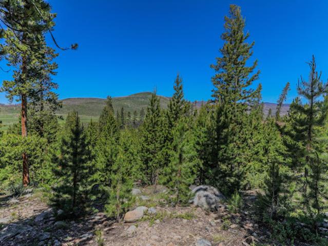 Land for sale in Grand Lake, Colorado