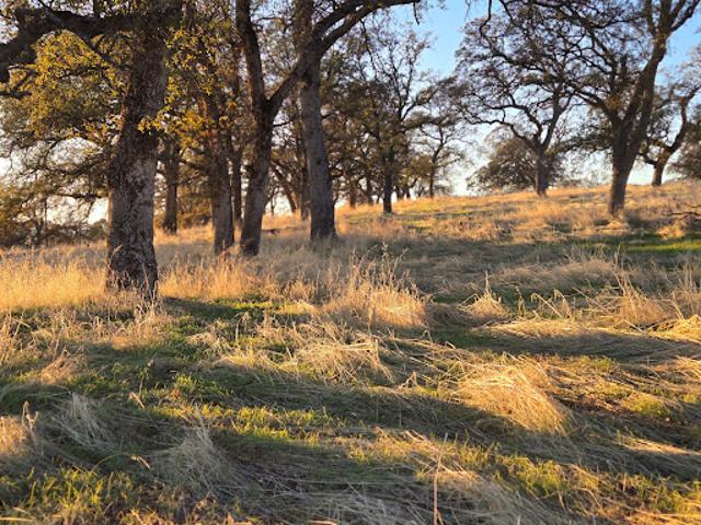 Land for sale in Butte, California