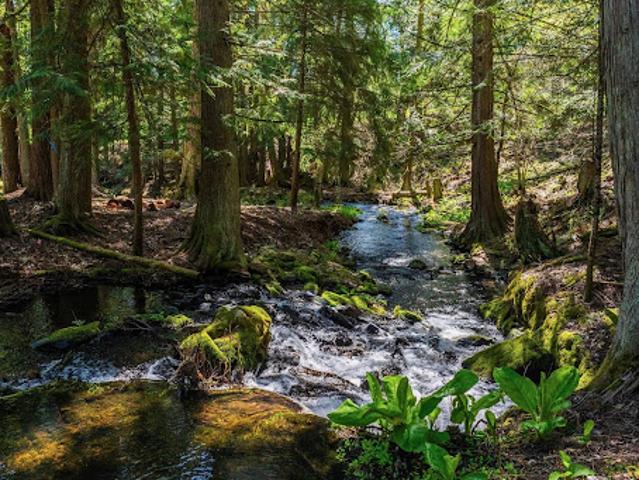 Land for sale in Sagle, Idaho