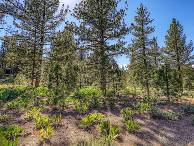 Land for sale in Truckee, California