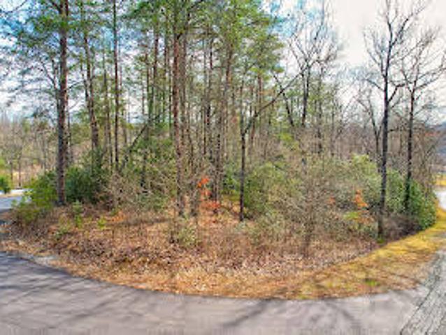 Land for sale in Mineral Bluff
