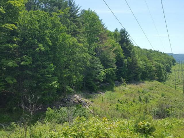 Land for sale in Strafford, Vermont