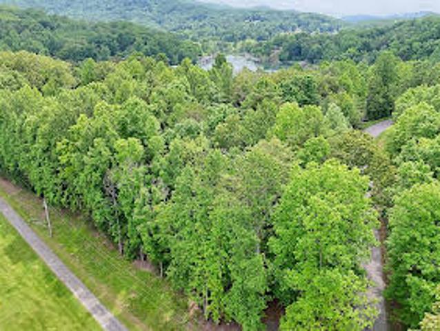 Land for sale in Hayesville