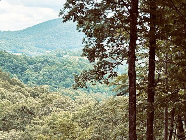 Land for sale in Boone, North Carolina