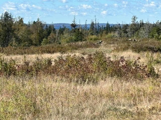 Land for sale in North Haven, Maine
