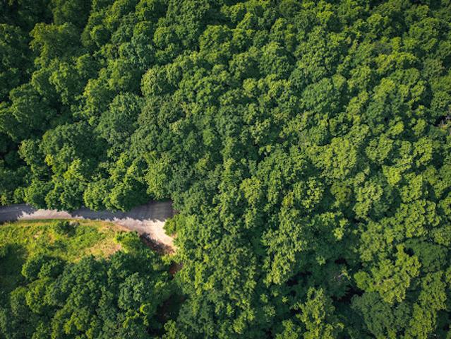 Land for sale in Asheville, North Carolina