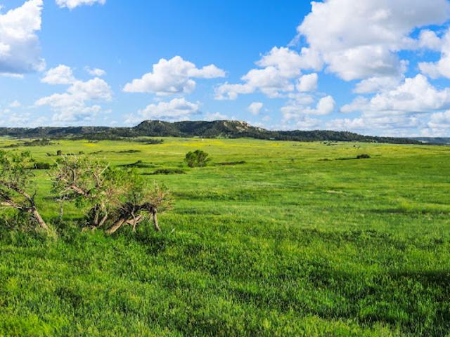 Land for sale in Elbert