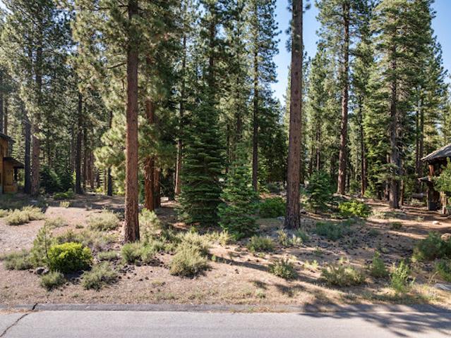 Land for sale in Truckee, California