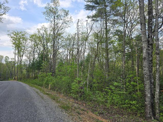 Land for sale in Blairsville, Georgia