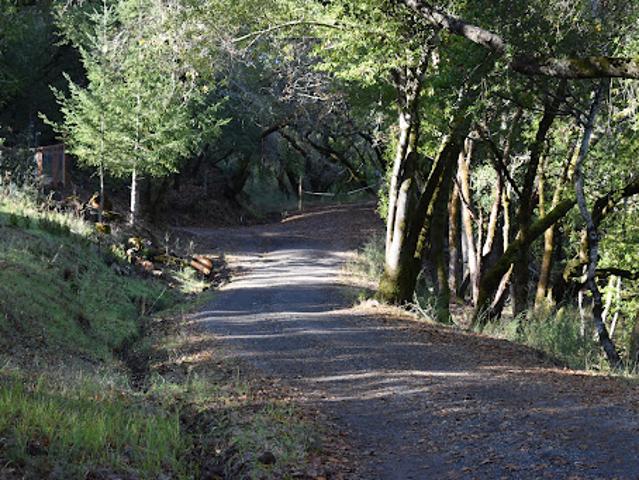 Land for sale in Healdsburg