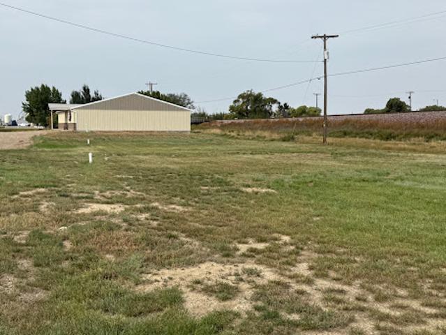 Land for sale in Chester, Liberty County