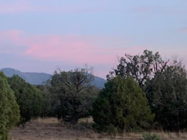 Land for sale in Prescott Land for sale in Prescott