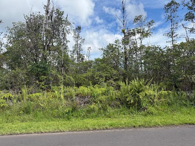 Land for sale in Hawaii