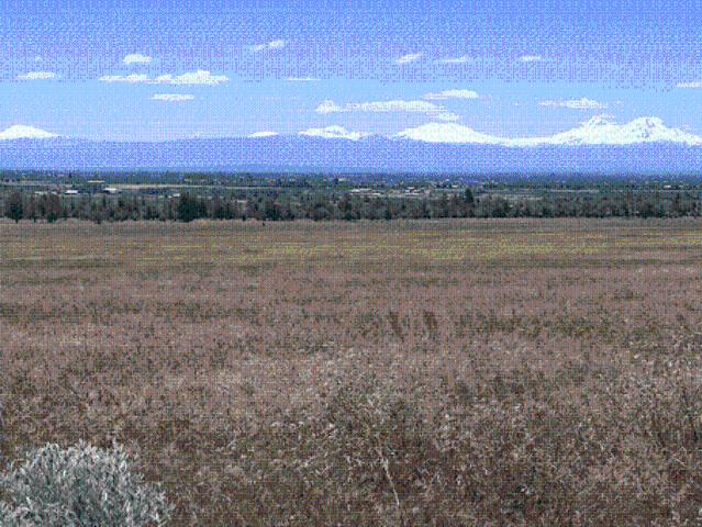 Land for sale in Oregonia