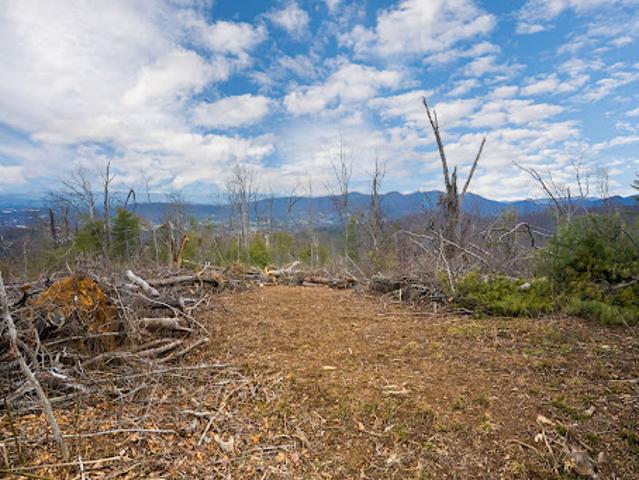 Land for sale in Asheville, North Carolina