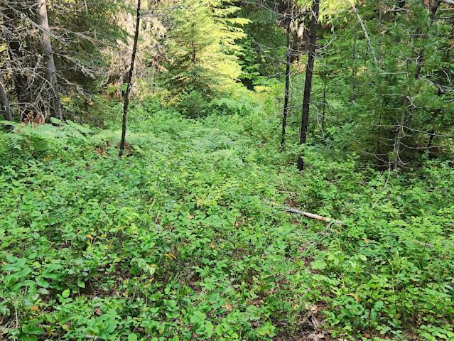 Land for sale in Nordman, Idaho