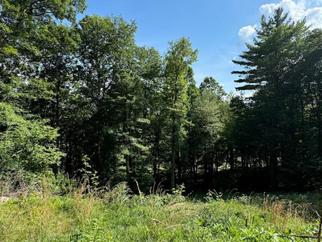 Land for sale in Boone