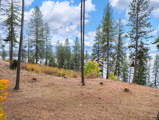 Land for sale in Hope, Idaho